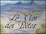 LAVE EMAILLEE - SALERNES 83690 VAR - CARRELAGES DE PROVENCE