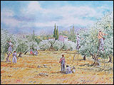 LAVE EMAILLEE - SALERNES 83690 VAR - CARRELAGES DE PROVENCE